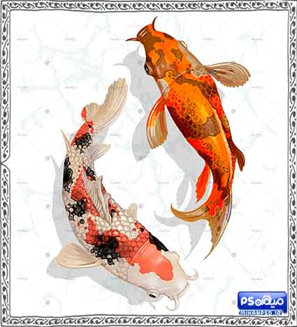 دانلود وکتور ماهی نوروز