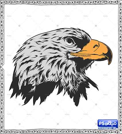 دانلود وکتور عقاب