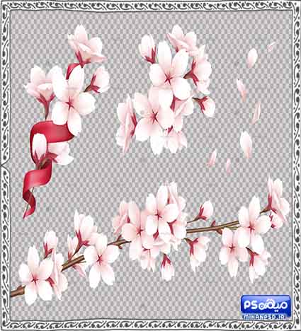 دانلود وکتور بهار