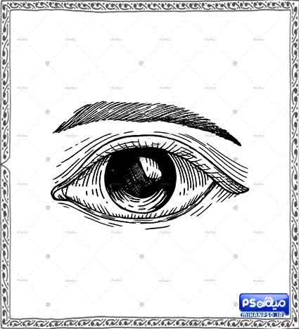 وکتور لایه باز چشم