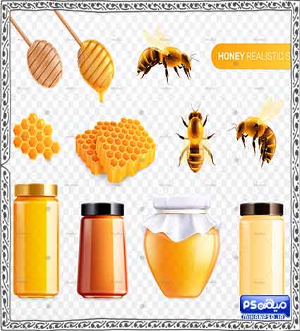 وکتور رایگان عسل
