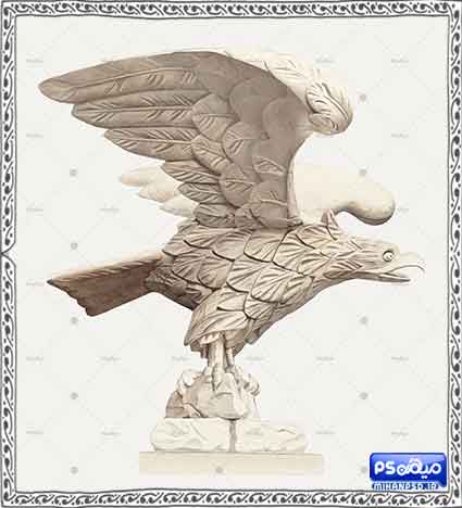 وکتور رایگان عقاب