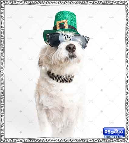 بک گراند خلاقانه رایگان 