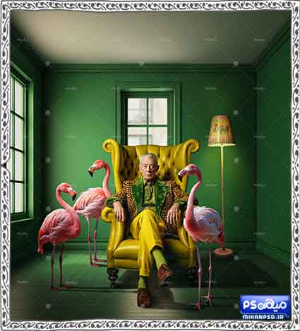 بک گراند رایگان خلاقانه