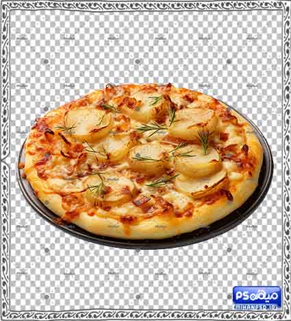 وکتور رایگان پیتزا