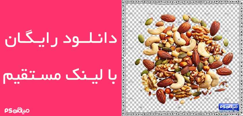 وکتور رایگان خشکبار
