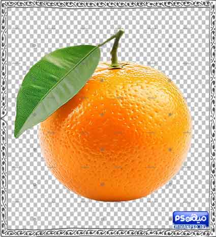 وکتور پرتغال png