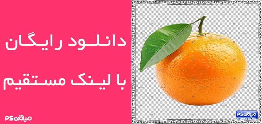 وکتور رایگان پرتغال