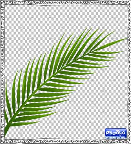 وکتور برگ لایه باز