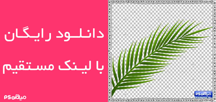 وکتور رایگان برگ درخت