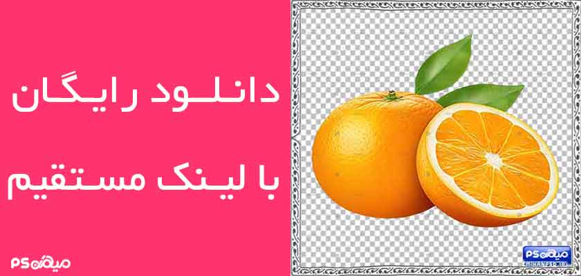 وکتور رایگان سه بعدی پرتغال
