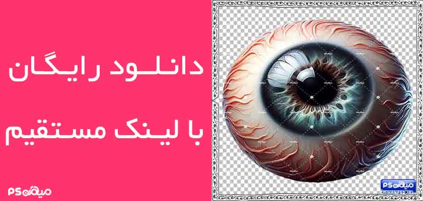 وکتور سه بعدی چشم