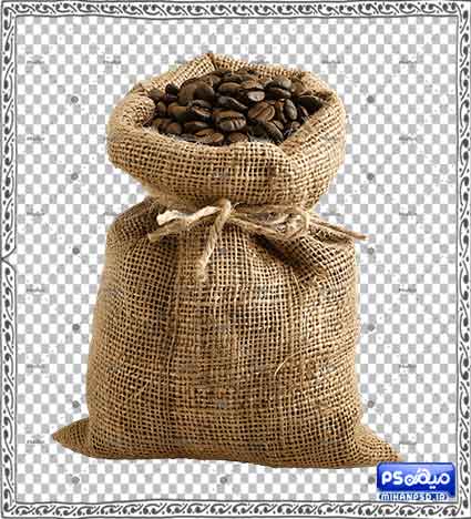 وکتور رایگان دانه قهوه 