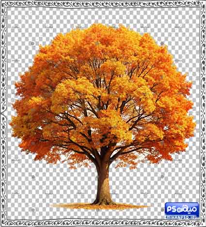 وکتور درخت پاییزی