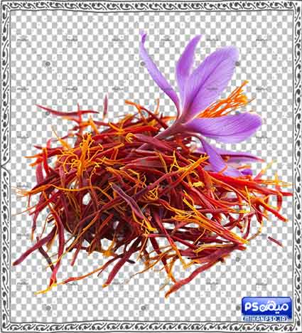 دانلود وکتور زعفران