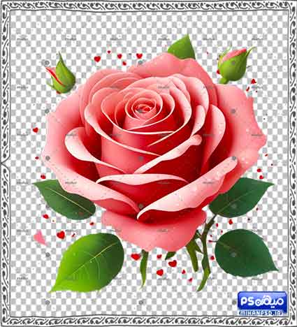 وکتور گل رز