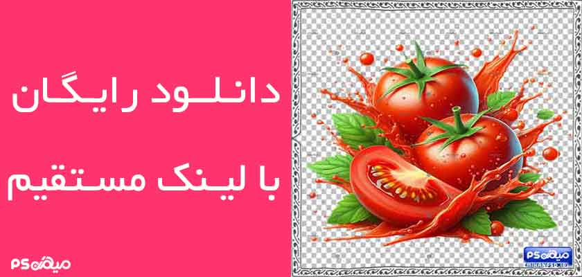 دانلود وکتور گوجه