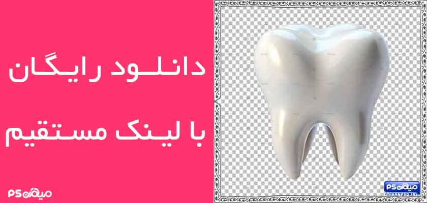 وکتور دندان سه بعدی