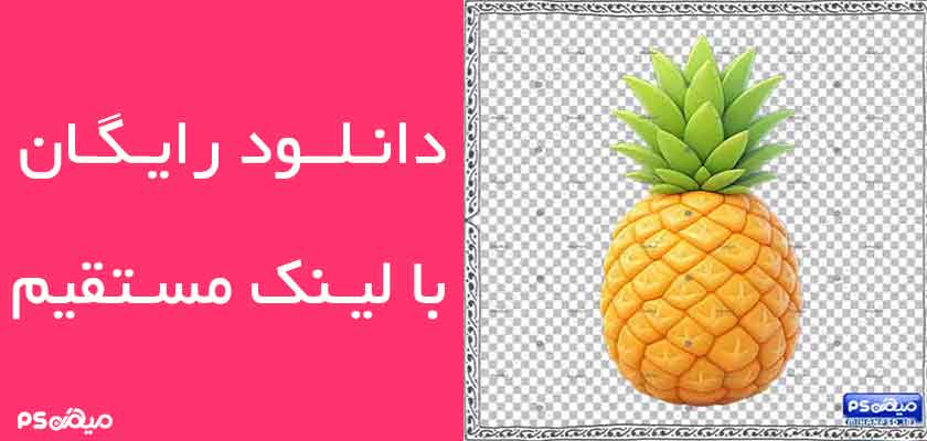 طرح وکتور آناناس