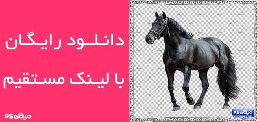 طرح وکتور اسب