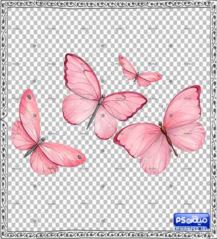 دانلود وکتور پروانه