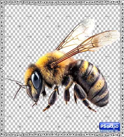 وکتور زنبور عسل