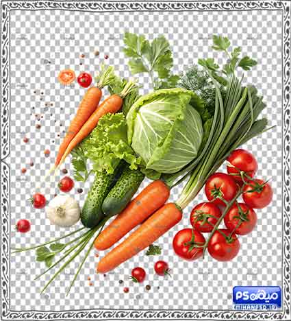 وکتور سبزیجات