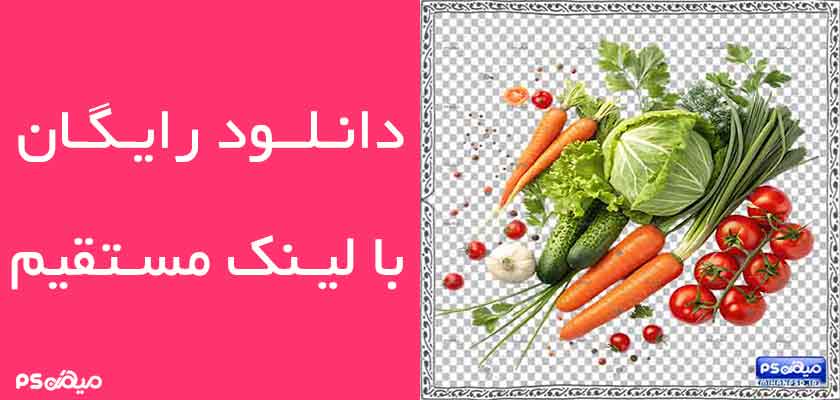 دانلود وکتور سبزیجات
