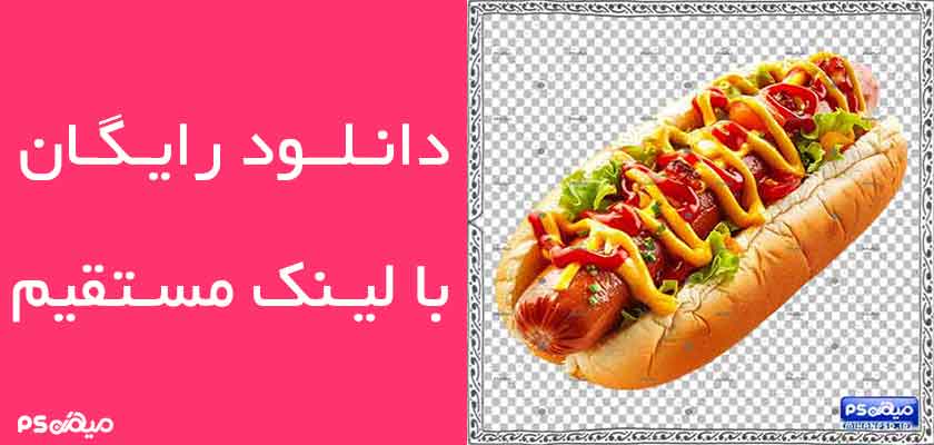 وکتور رایگان هات داگ