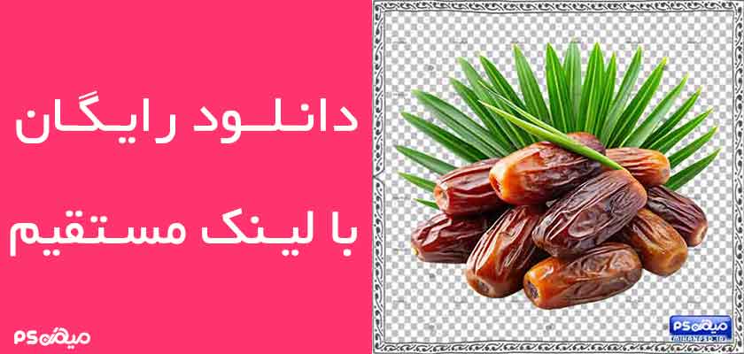 وکتور رایگان خرما
