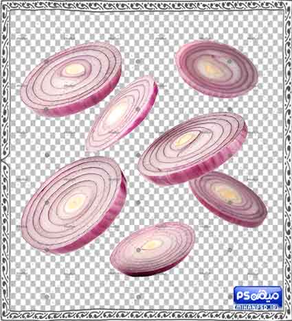 وکتور png پیاز