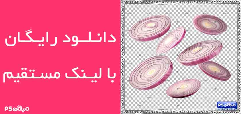 وکتور رایگان پیاز