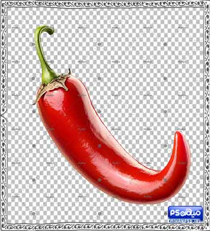 وکتور png فلفل