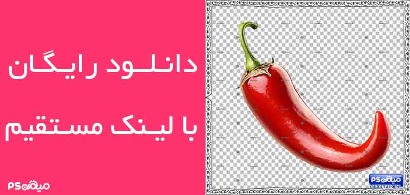 وکتور رایگان فلفل