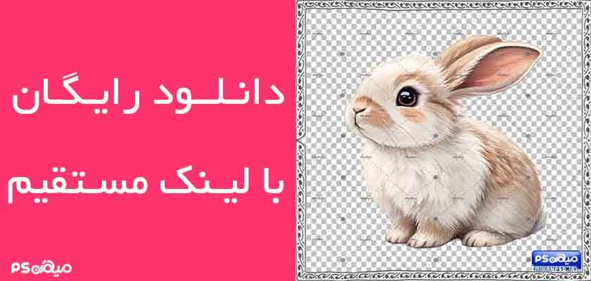 وکتور رایگان خرگوش