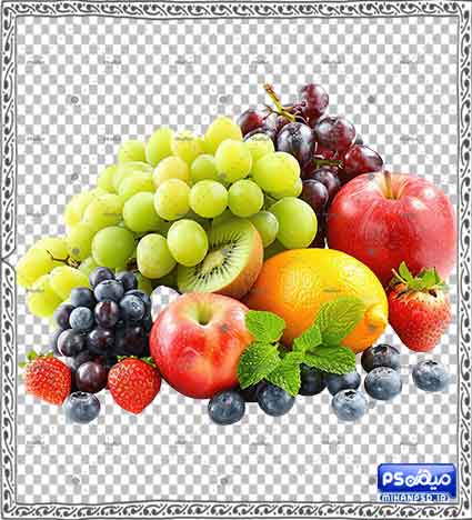 وکتور رایگان میوه