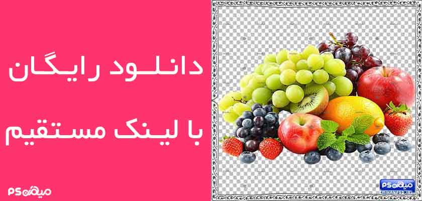 وکتور رایگان میوه و تره بار