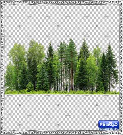 دانلود وکتور جنگل