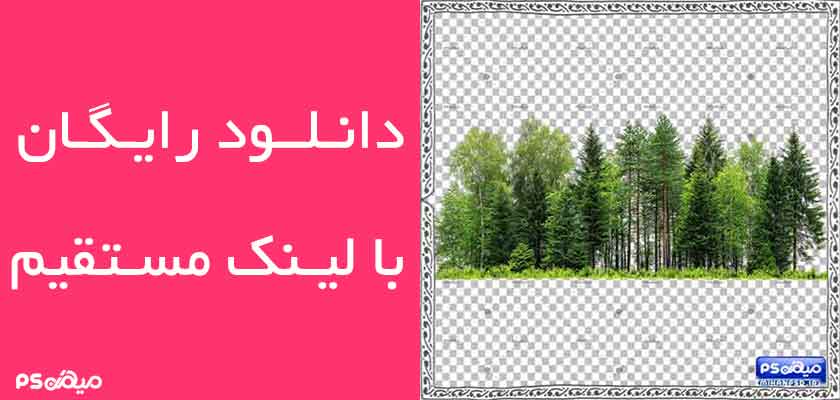 وکتور رایگان جنگل