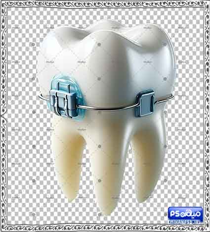 وکتور سه بعدی دندان
