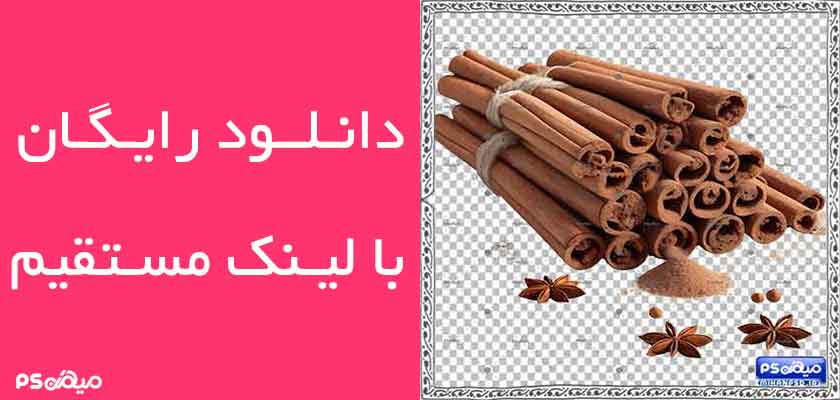 دانلود وکتور چوب دارچین