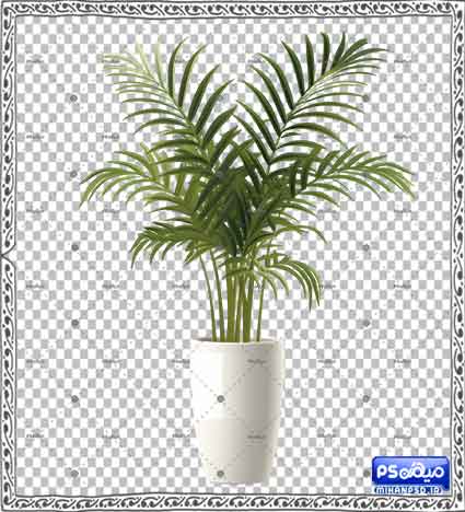 وکتور گل و گیاه