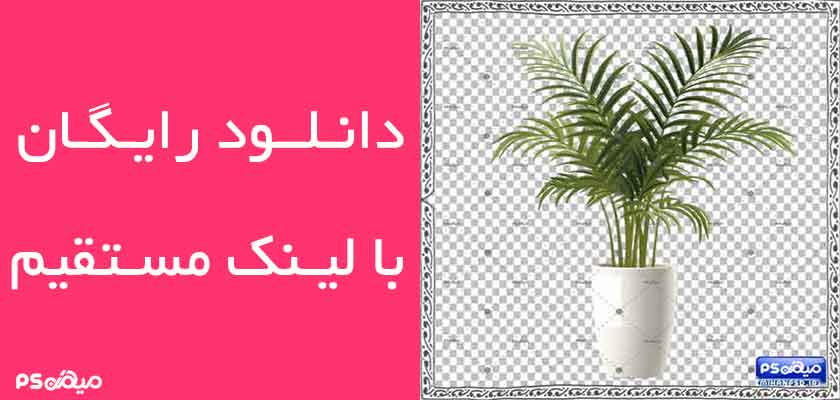 طرح وکتور گل و گیاه