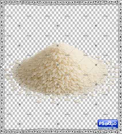 وکتور لایه باز برنج