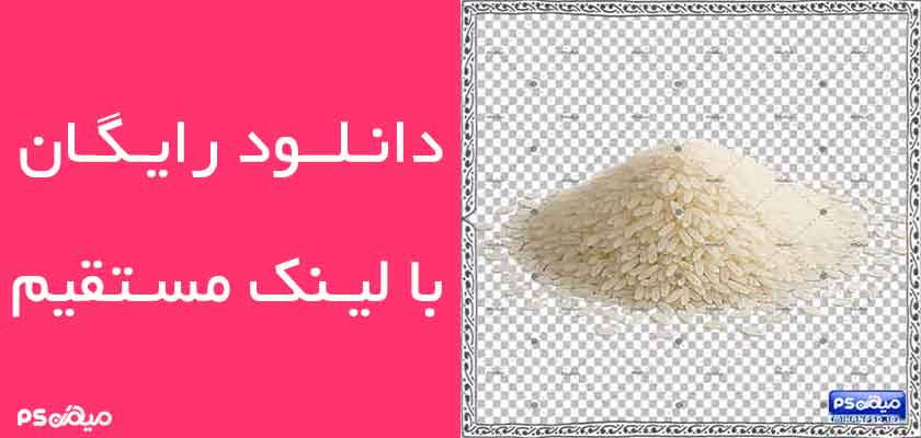دانلود وکتور برنج