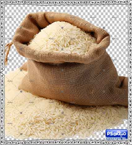 دانلود وکتور برنج