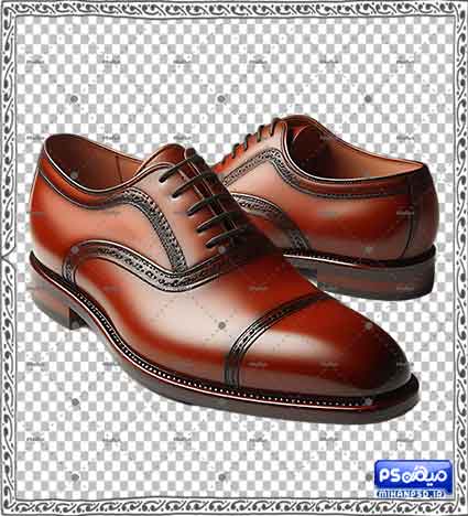 دانلود وکتور کفش