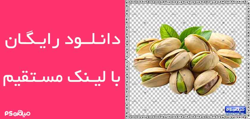 دانلود وکتور پسته و آجیل