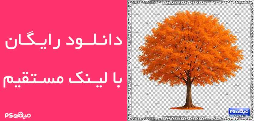 دانلود وکتور پاییز
