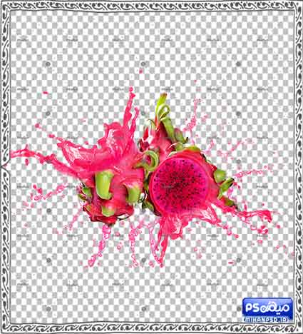 وکتور میوه اژدها